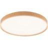 Светильник JAZZWAY PPB PINE 72w DIM 3000-6500K IP20 D485x75 5052680